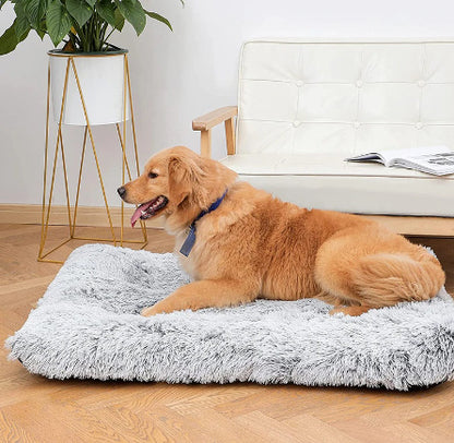 Plush Wave Deep Sleep Pet Bed