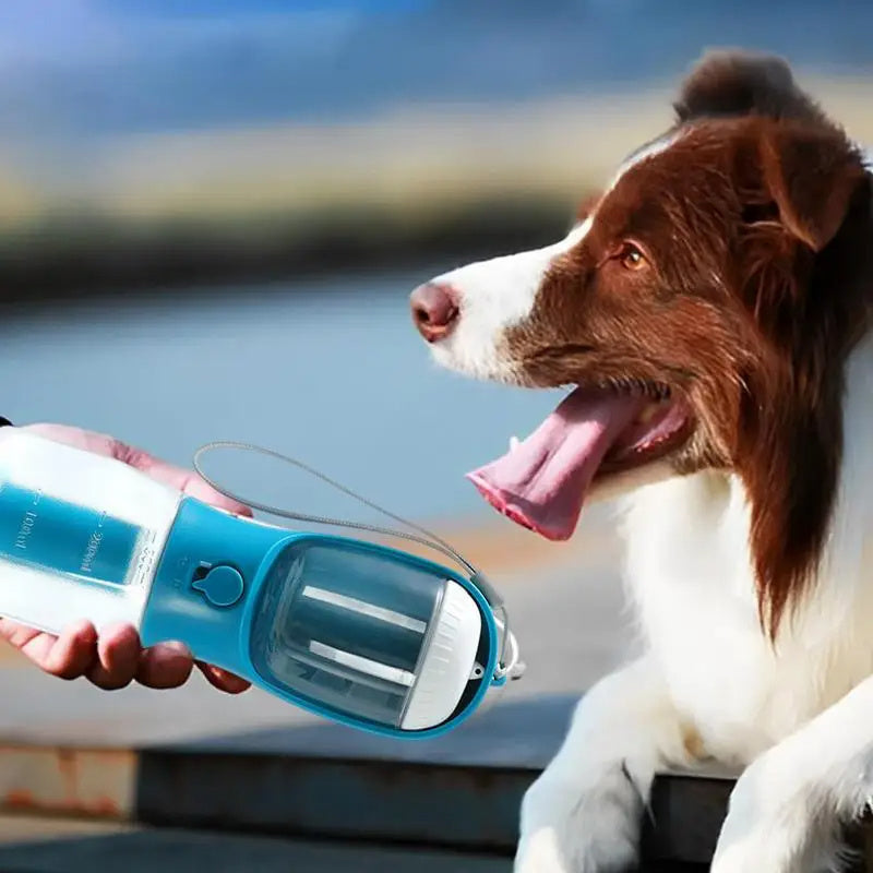 3-in-1 Portable Dog Water Bottle